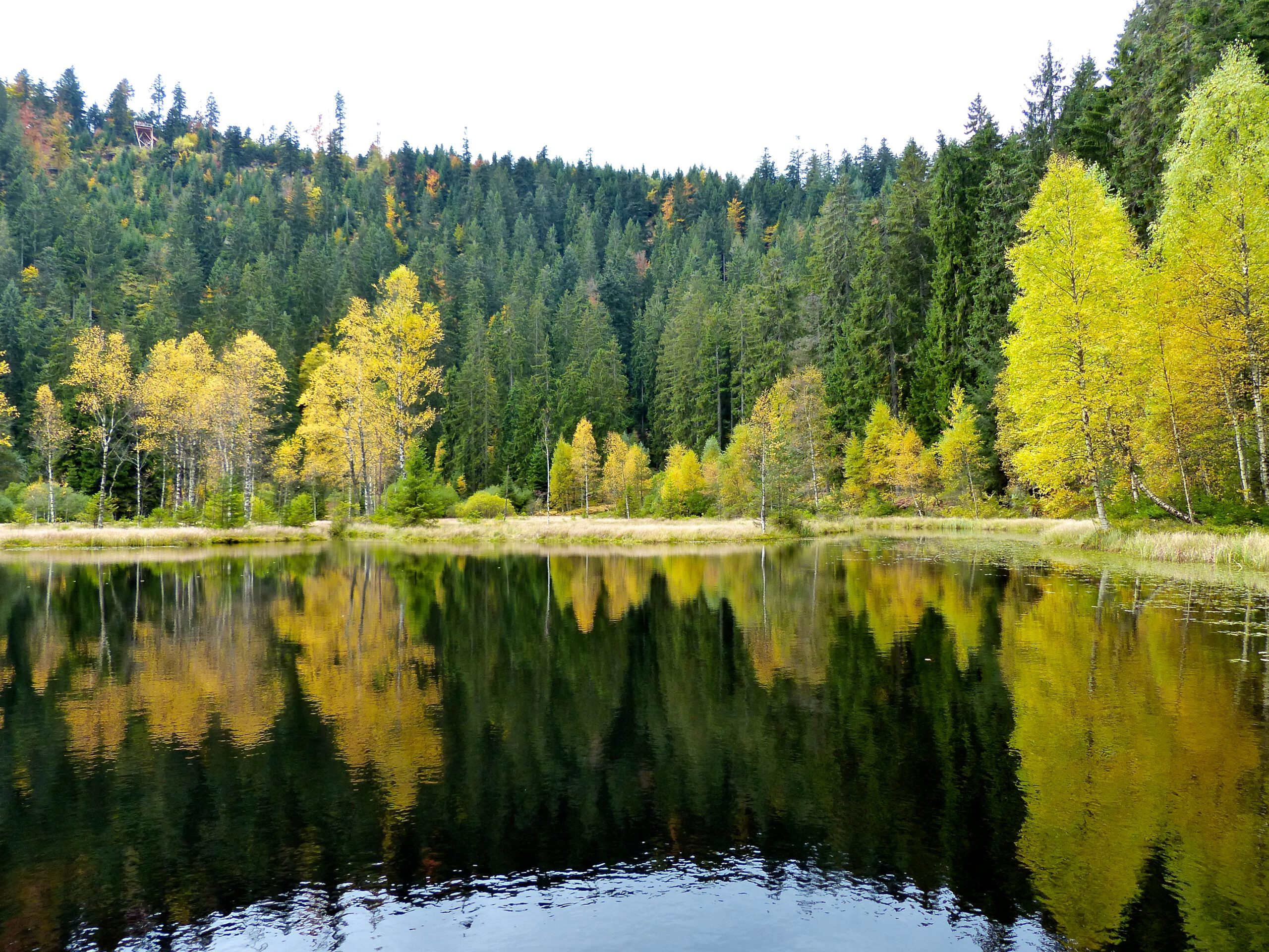 Holzkunst Durbach